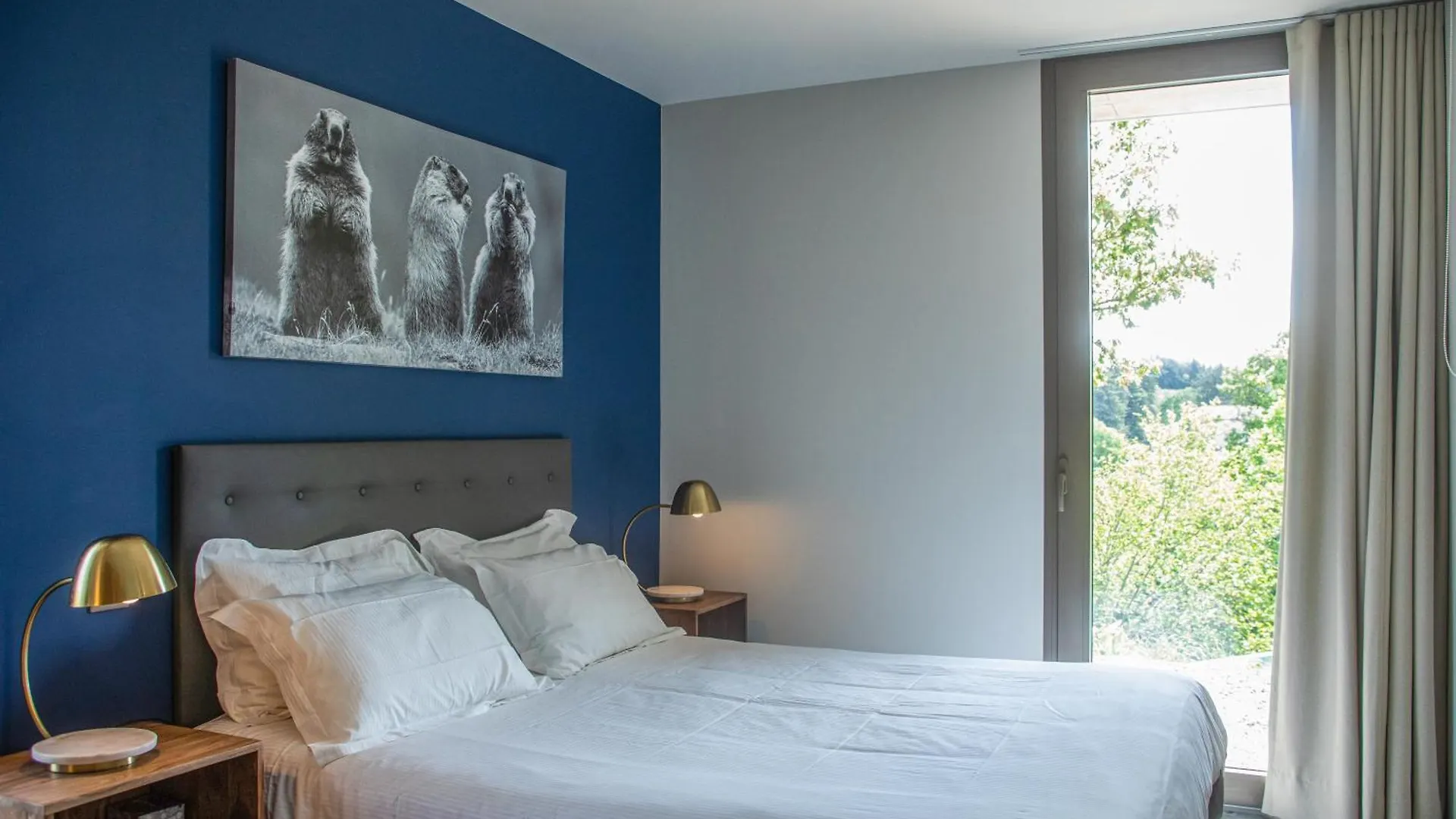 Gite De La Maison Chassel 巴拉聚克